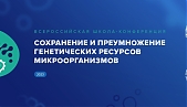 II Всероссийская школа-конференция «Сохранение и преумножение генетических ресурсов микроорганизмов»