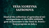 Vera Igorevna Safronova, head of the collection of agricultural microorganisms at the FSBSI ARRIAM, gave an interview to the Vesti St. Petersburg program on July 4,