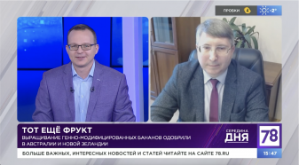 Viktor Evgenievich Tsyganov, spoke about the danger of a new race of fusarium mushroom MP4 for the most common banana variety Cavendish